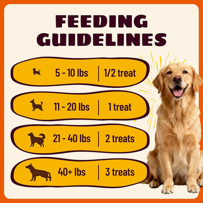 23.28oz Chicken & Pumpkin Jerky Dog Treats - Grain Free, Limited Ingredient Dog Snacks - All Natural Chewy Dog Treats for Digestive Health - Training Treats for All Dog Sizes