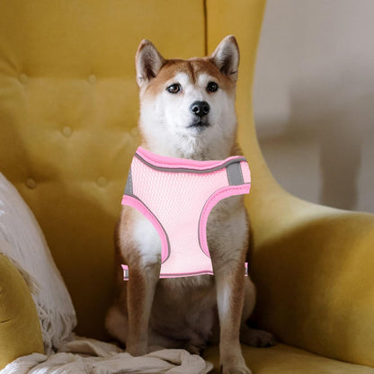COHEALI Reflective Dog Harness Vest with Breathable Mesh Fabric and Long Leash for Outdoor Walking Comfortable No-Pull Pet Safety Belt for Puppies and Dogs