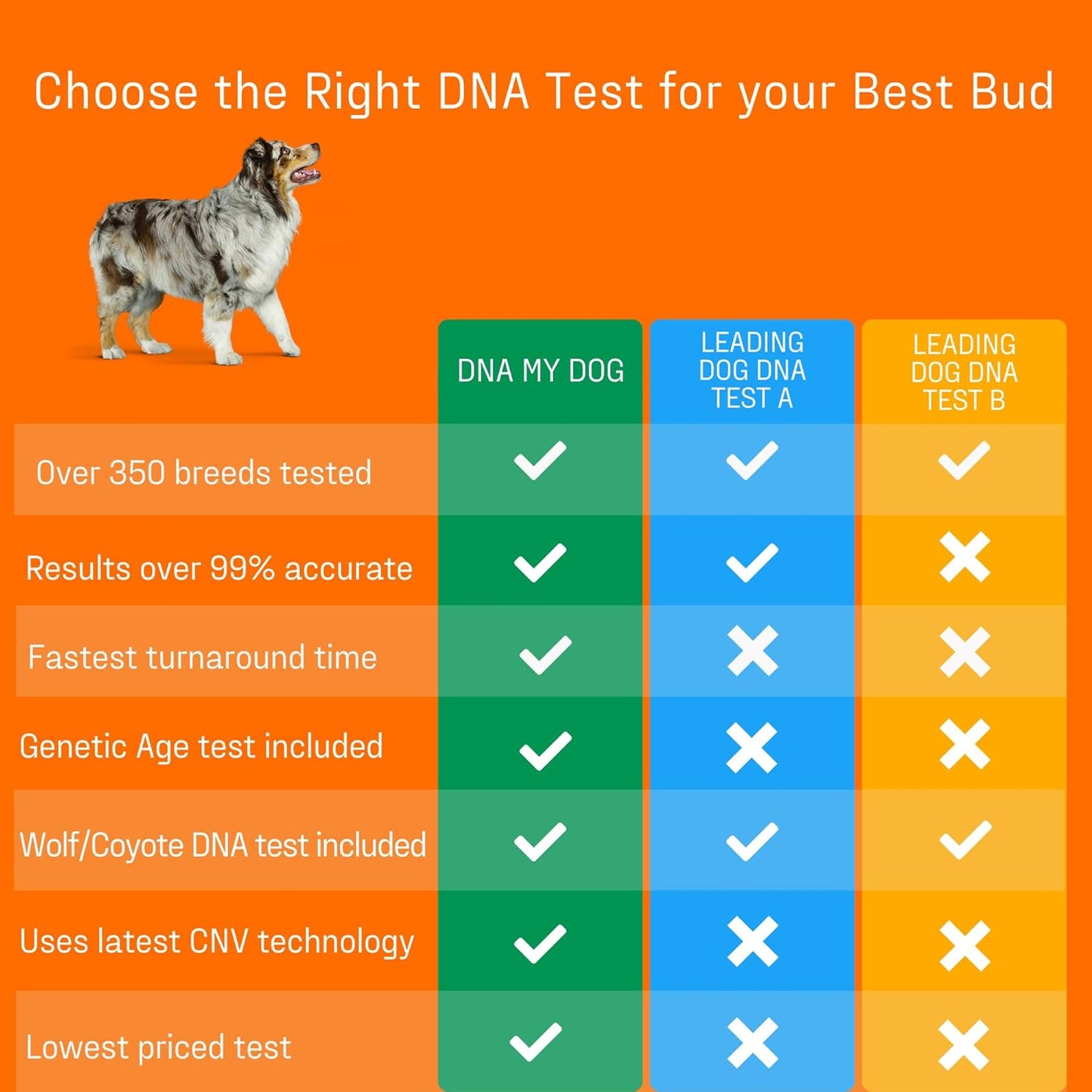 DNA Genetic Age and Breed Test – Trusted & Affordable Breed Identification | 350+ Breeds Identified with 99%+ Accuracy | Plus Genetic Age Test, Wolf DNA