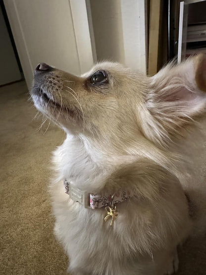 Lionet Paws Spring Dog Collar- Cute Strawberry Pink Dogs Collar with Plastic Buckle and Bowtie Pendant,Dog Collar for Medium Large Dogs