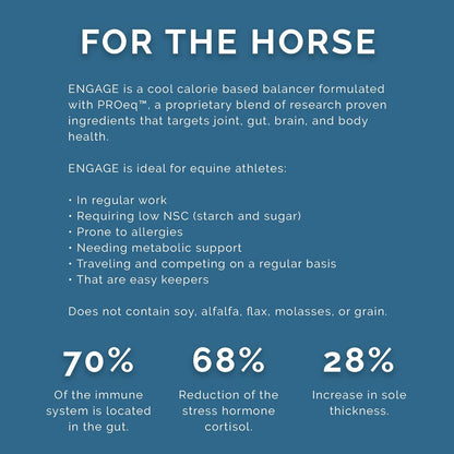 PRO Series Engage Cool Calorie Base Equine Feed, 40lbs - with PROeq for Joint, Gut, Brain & Body Health - Ideal for Easy Keepers - Low NSC, USDA Organic & Alfalfa-Free