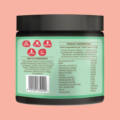 Dog Multivitamin Soft Chews – 120 Count | with Omega 3, Glucosamine, MSM, Chondroitin, CoQ10, Vitamins B & C | for Joint, Heart, Skin & Immune Support | Salmon Flavor | Non-GMO & Natural