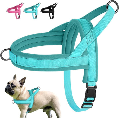 Compatible for Small Medium Nylon Padded Dog Harness Vest Adjustable Soft Outdoor No Pull(Blue,XS(Old))