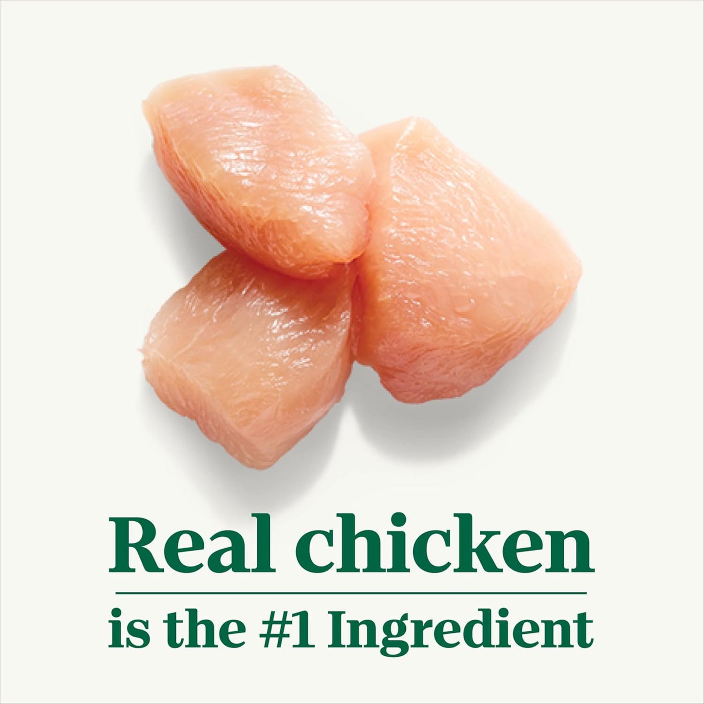 Nutro Puppy Grain Free Natural Wet Dog Food Bites in Gravy Tender Chicken, Sweet Potato & Pea Recipe, 3.5 oz. Trays (24 Count, Pack of 1)