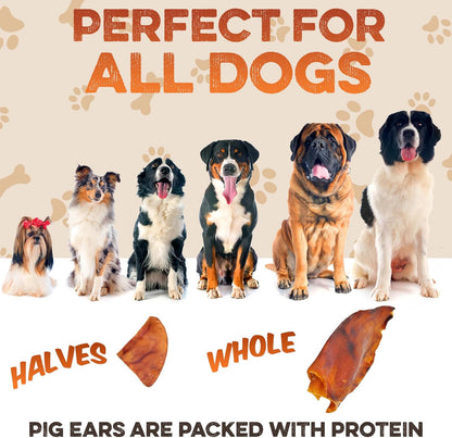 BRUTUS & BARNABY Pig Ear Halves for Dogs, 15 Ct. – All-Natural Single Ingredient Dog Chews, Slow Cooked & Fully Digestible Rawhide Alternative