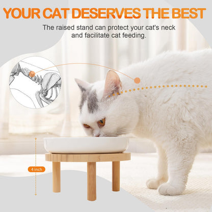 Raised Slow Feeder Cat Bowl, 5.9 Inch Wide Shallow Ceramic Elevated Glass Food Bowl Puzzle Feeders, Anti Vomit Cat Dish, Whisker Friendly Pet Plates Feeding Station for Cats(2 Slow Feeder)