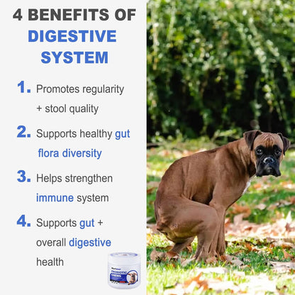 Probiotic Chews for Dogs - Chicken Flavor, 100 Soft Chews, with 6 Billion CFU Probiotics, Enzymes, Organic Pumpkin & Inulin - Digestive & Immune Support for Dogs