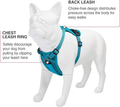 Voyager Freestyle 4-in-1 Dog Harness - Patent Pending Adjustable Webbing Harness with Removable Padding for Small to Large Dogs by Best Pet Supplies - Turquoise, XS