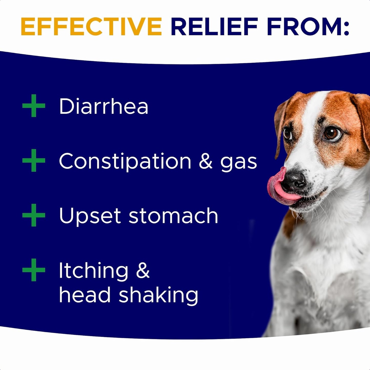 Probiotics for Dogs + Digestive Enzymes - Omega & Pumpkin - Gut Health & Immunity Support - Relieves Diarrhea, Gas, Constipation - Made in USA - 120 Chews Pack of 1 Lamb