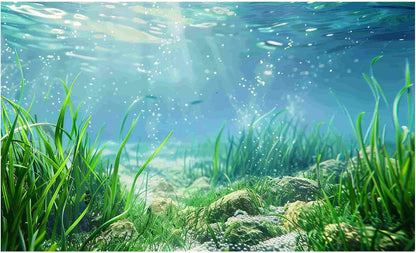 Aquarium Background Poster, Fish Tank Background Sticker, 3D Aquatic Plants Vibrant Underwater Scenery for Stunning Aquarium Decorations 10 20 Gallon Tank (15.7" x 23.6" in)