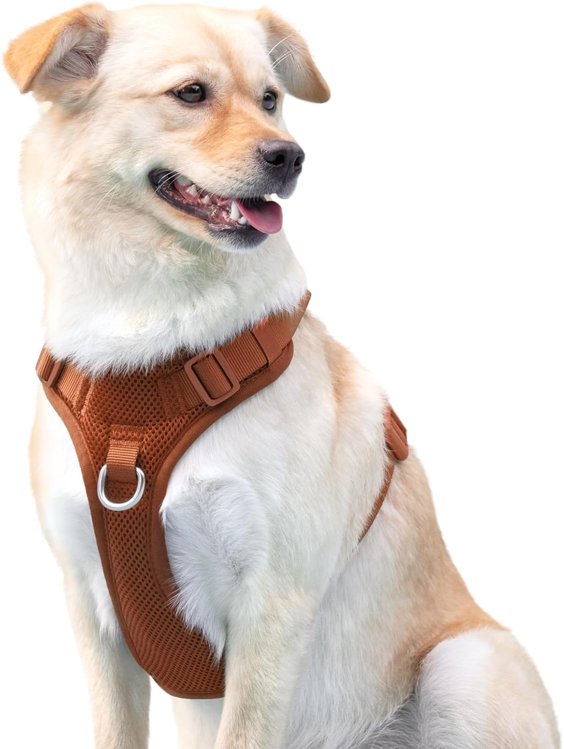 No Pull Dog Harness for Small Medium Large Dogs - Adjustable 2 Layer Mesh Dog Vest with Dual Clip, Escape Proof, Quick Release, Lightweight Breathable Mesh for Walking Hiking (Carmel Brown,XS)