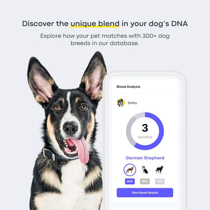 Basepaws Dog DNA Testing Kit - 330+ Breeds, 280+ Health Risks, and 30+ Traits - Comprehensive Mixed Breed Identification, Pet DNA Test kit, Canine Genetic Ancestry and Heritage