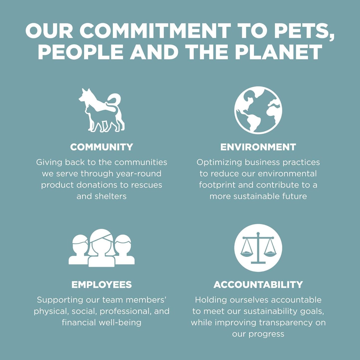 Go! Solutions Digestion + Gut Health, Dry Cat Food, Chicken Recipe with Ancient Grains, 6 lb Bag