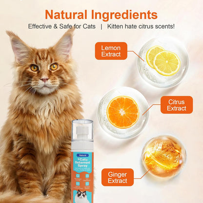 Cat Deterrent Spray, Natural Cat Repellent Spray with Citrus Scent, Indoor & Outdoor Traning Aid for Urine Marking & Anti-Scratch, Safe for Furniture, Plant & Rugs, (150ml/5.28oz)