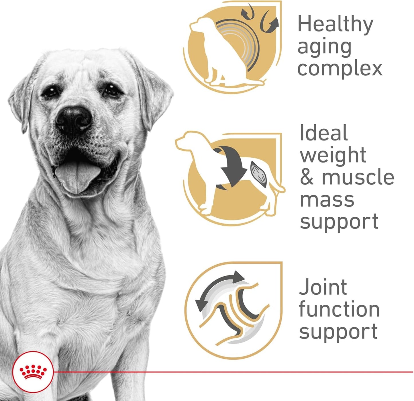 Royal Canin Breed Health Nutrition Labrador Retriever 5+ Mature Dry Dog Food, 28 lb Bag