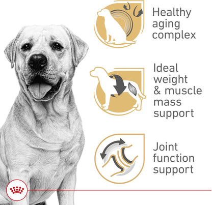 Royal Canin Breed Health Nutrition Labrador Retriever 5+ Mature Dry Dog Food, 28 lb Bag