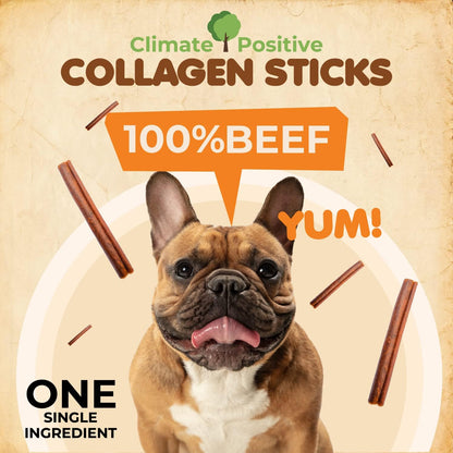 Makondo Pets Collagen Sticks 100% Natural Beef Dog Chews, 6” Premium Dog Treats for Training Puppies & Adults, Zero Filler or Preservatives, 12Pcs of Corium