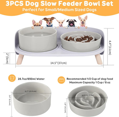 Dog Food and Water Bowl Set - Ceramic Slow Feeder Bowl & Raised Double Dish with Splash-Proof Stand - Feeding Combo for Medium Dogs