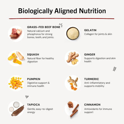 Stella & Chewy's Human-Grade Grass-Fed Beef Bone Broth for Dogs - Joint & Gut Health Liquid Food Topper with Collagen & Turmeric, 16 Fl Oz Resealable Pouch