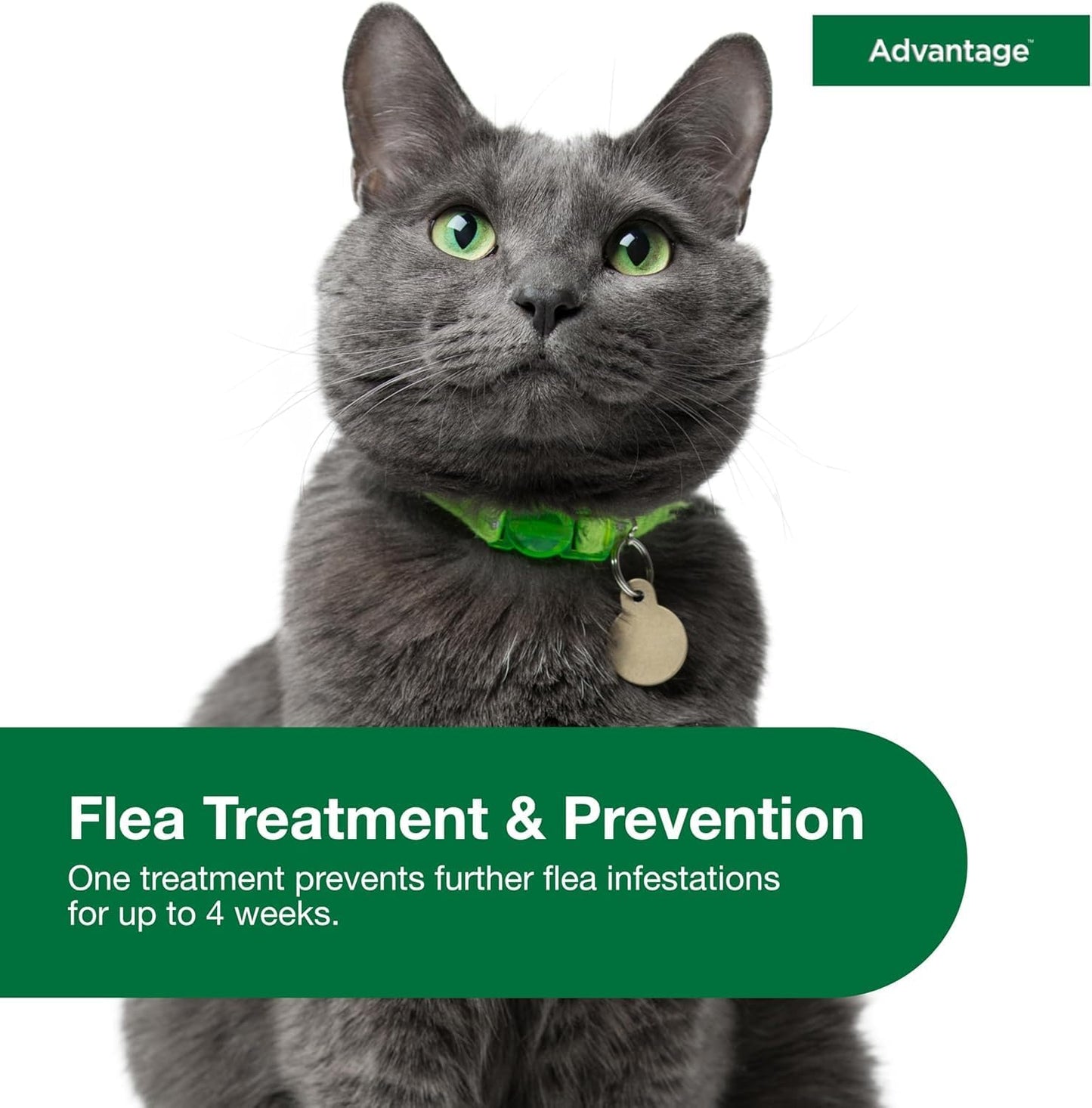 Bundle of Advantage Topical Cat Flea Treatment and Prevention for Large Cats Over 9 lbs. + Advantage Carpet & Upholstery Spot Spray 16 oz.