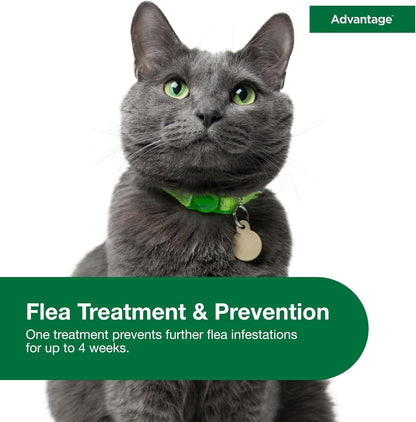 Bundle of Advantage Topical Cat Flea Treatment and Prevention for Large Cats Over 9 lbs. + Advantage Carpet & Upholstery Spot Spray 16 oz.
