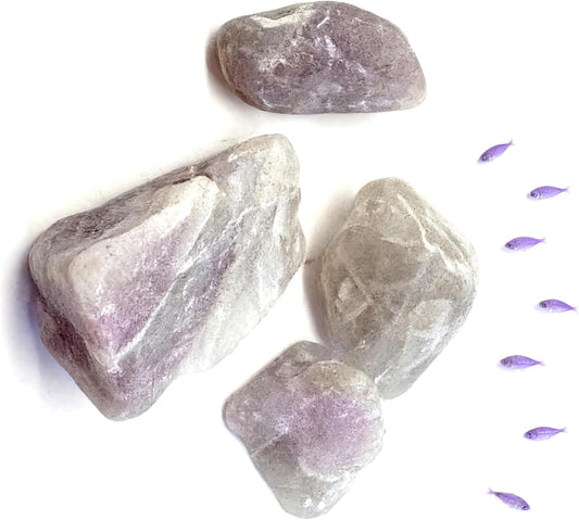 11. YG680 Unique Watermelon Tourmaline Aquarium Décor Rocks Displaying a Playful Combination of Pink and Green Zonation