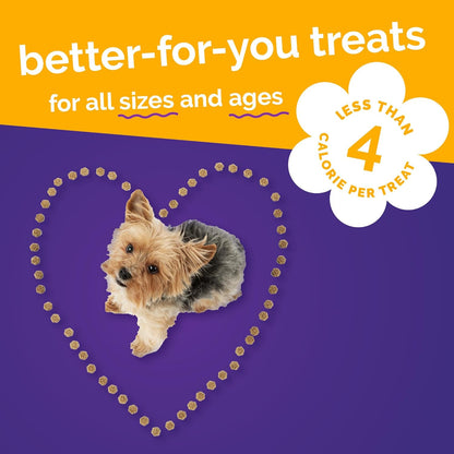 Fruitables Skinny Minis Dog Treats, Healthy Pumpkin Treat for Dogs, Low Calorie & Delicious, Puppy Training, No Wheat, Corn or Soy, Made in the USA, Pumpkin and Mango Flavor, 5oz