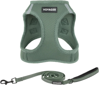 Best Pet Supplies Voyager Step-in Air All Weather Mesh Harness and Reflective Dog 5ft Leash Combo with Neoprene Handle, for Small, Medium and Large Breed Puppies - Set (Moss Green), Small