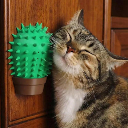 PetPhindU Cat Face Scratchers Self Groomer for Clawing, Stretching, and Grooming Built-in Catnip Compartment Wall Mounted Corner Brush (Green,One Size)