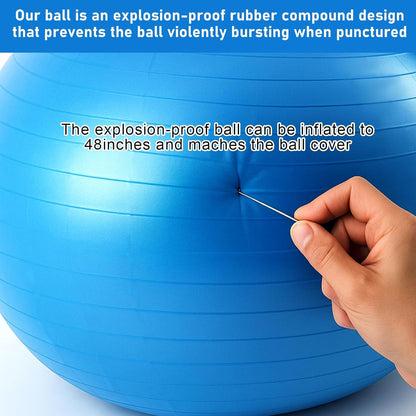 48 Inch Giant Herding Ball Anti Burst Ball Please Watch VCR for How to Inflation Horse Toys for Horse Stall Entertainment Play, Pump Included