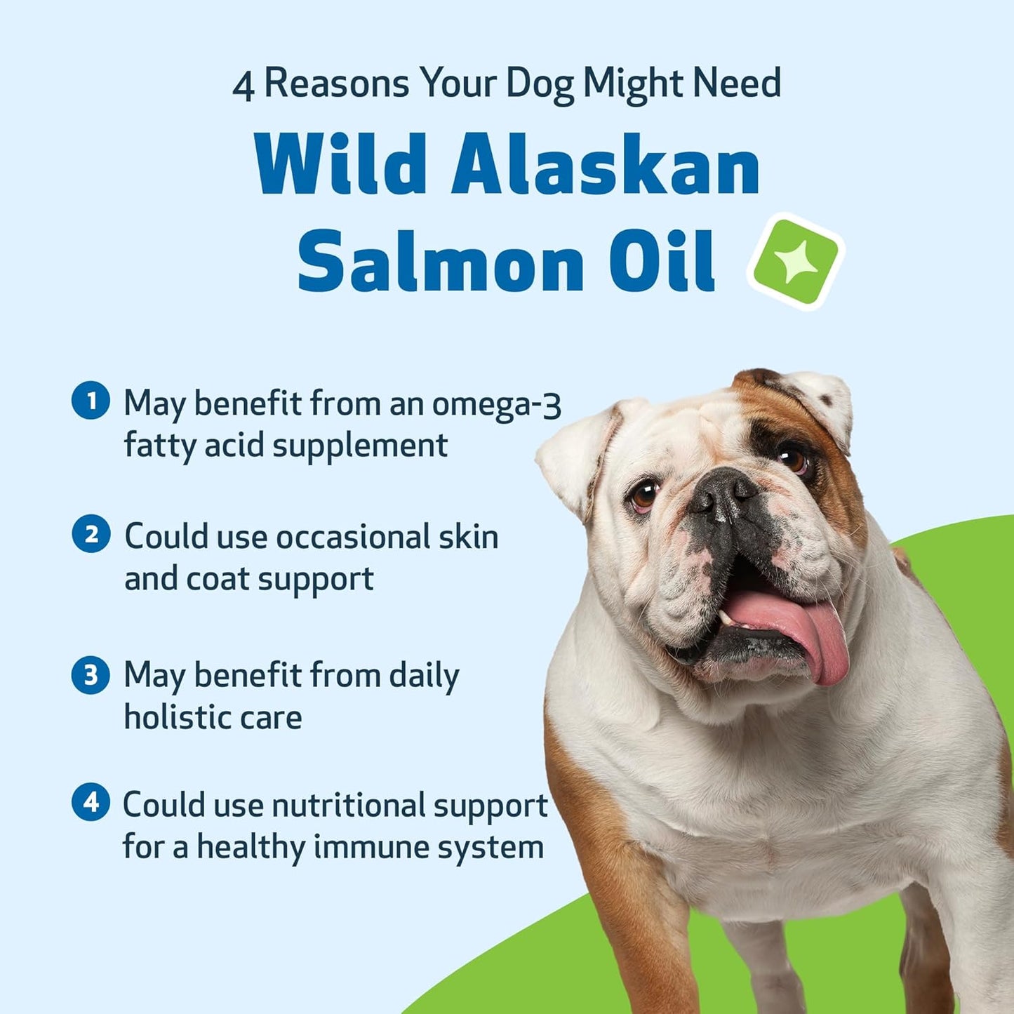 Pet Wellbeing Wild Alaskan Salmon Oil for Dogs - Omega 3 Fish Oil with EPA & DHA, Skin, Coat, Joint & Heart Health - NASC Certified & Vet Formulated - 16 oz Pump Bottle