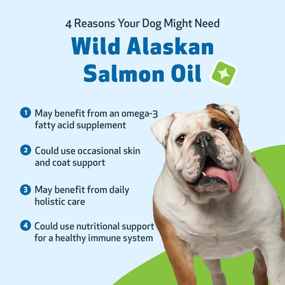 Pet Wellbeing Wild Alaskan Salmon Oil for Dogs - Omega 3 Fish Oil with EPA & DHA, Skin, Coat, Joint & Heart Health - NASC Certified & Vet Formulated - 16 oz Pump Bottle