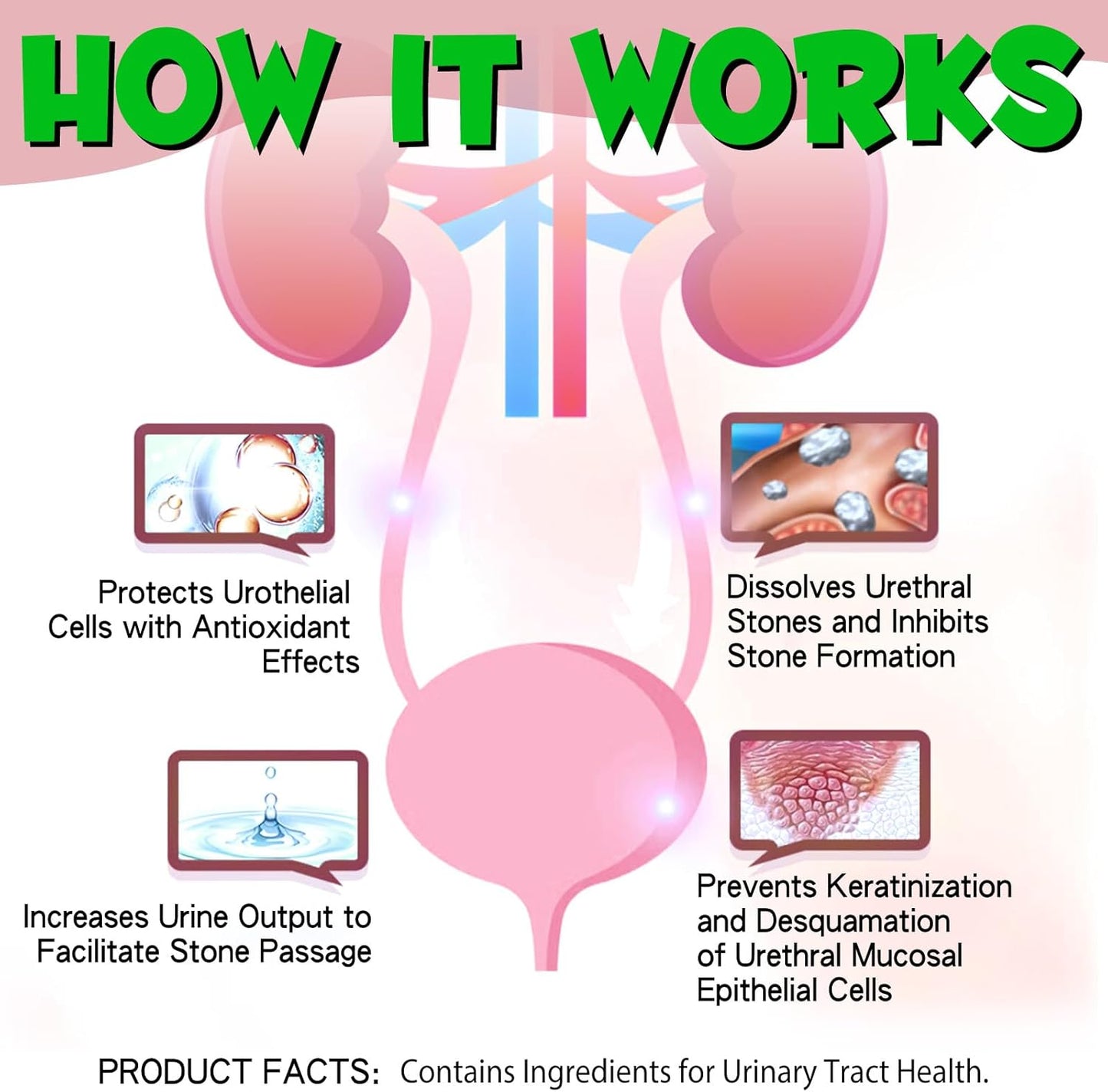 Feline Urinary Tract Health, Cat UTI Remedy, Natural Herbal Supplement, Supporting Regular Care for Urinary Health 2 fl oz