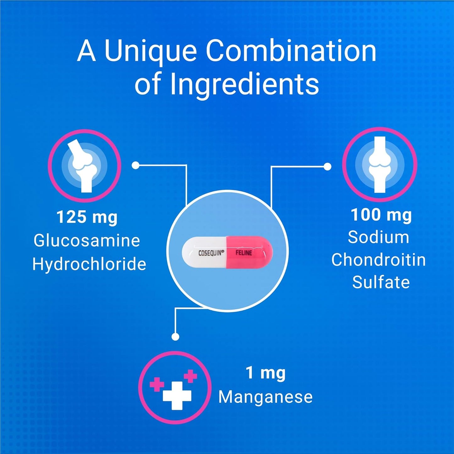 Nutramax Cosequin for Cats Joint Health Supplement, Contains Glucosamine for Cats, Plus Chondroitin, Supports Healthy Joints, for all Breeds and Sizes, Sprinkle Capsules, 55 Count