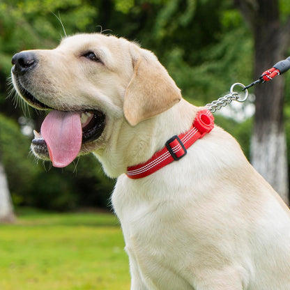 Cymiler Martingale Dog Collar with AirTag Holder, Reflective Nylon Training Collar, Stainless Steel Chain, Heavy Duty Buckle, Limited Slip Collars for Small Medium Large Dogs (Red, Large)
