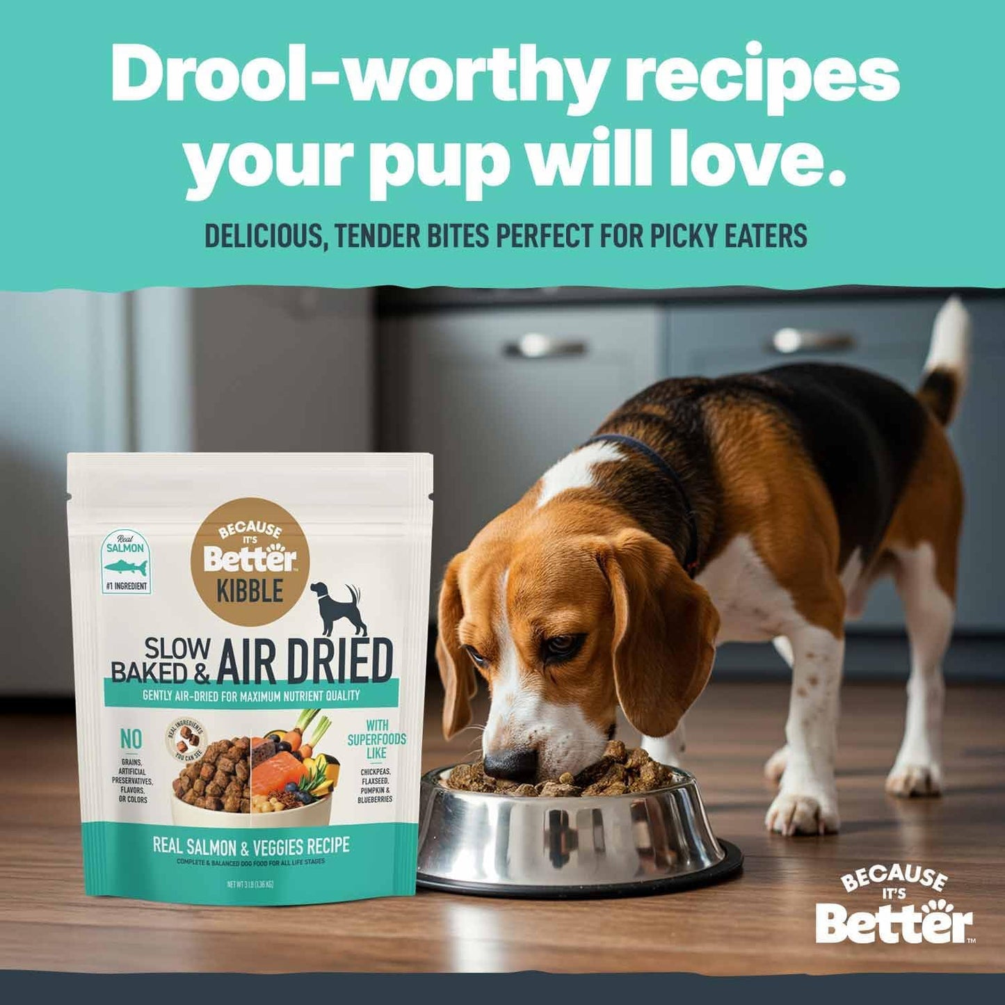 Because It's Better Slow Baked and Air Dried Dog Food, Real Salmon and Veggies, 3lb Bag, Complete and Balanced Dry Dog Food, for All Life Stages