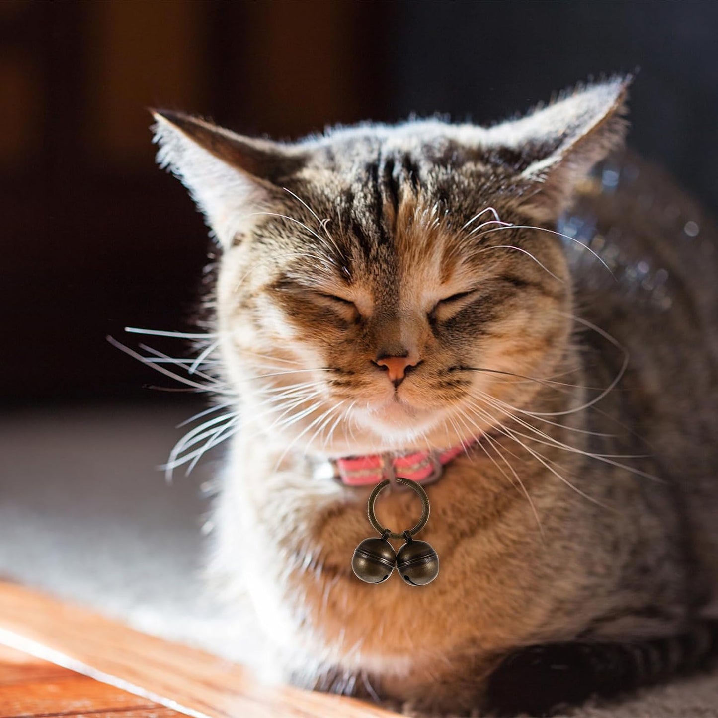 TOYANDONA Pet Collar Bells Loud Copper Dog Training Bell with 30Mm Split Ring for Dogs and Cats DIY Pet Accessories