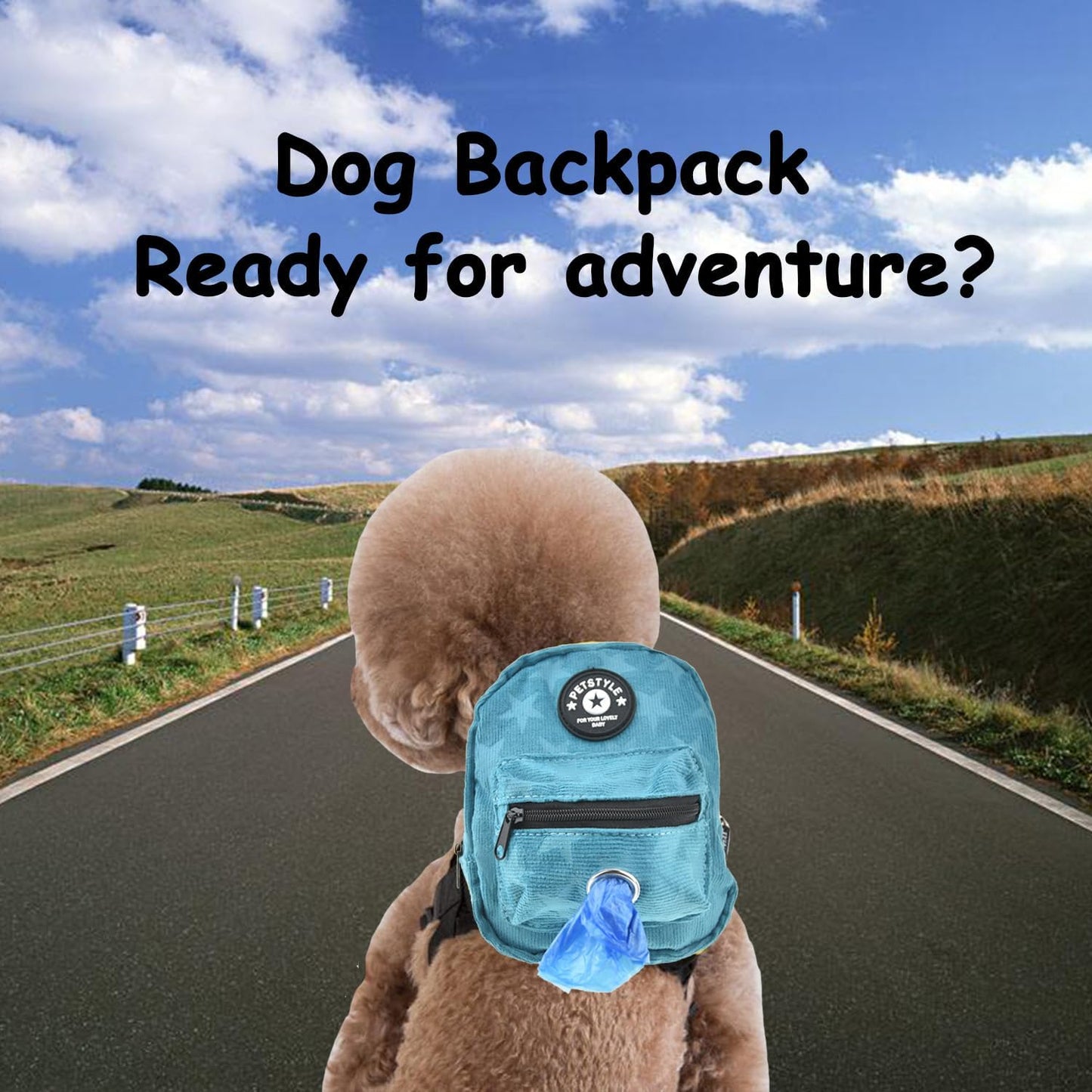 FLAdorepet Dog Backpack Harness with Leash, Dog Poop Bag Dispenser, Pet Self Carrier Adjustable Travel Hiking Walking Harness Backpack for Small Medium Dogs (L(Fit:10-15lb), Blue)