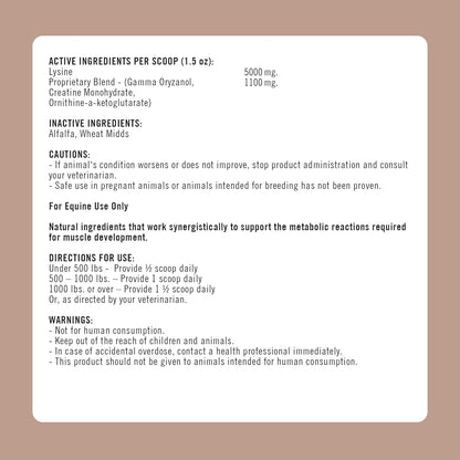 Formula 707 MuscleMx Equine Supplement, 3lb Bag – Conditioning Support and Muscle Builder for Horses with Lysine, Gamma Oryzanol, Creatine & OKG