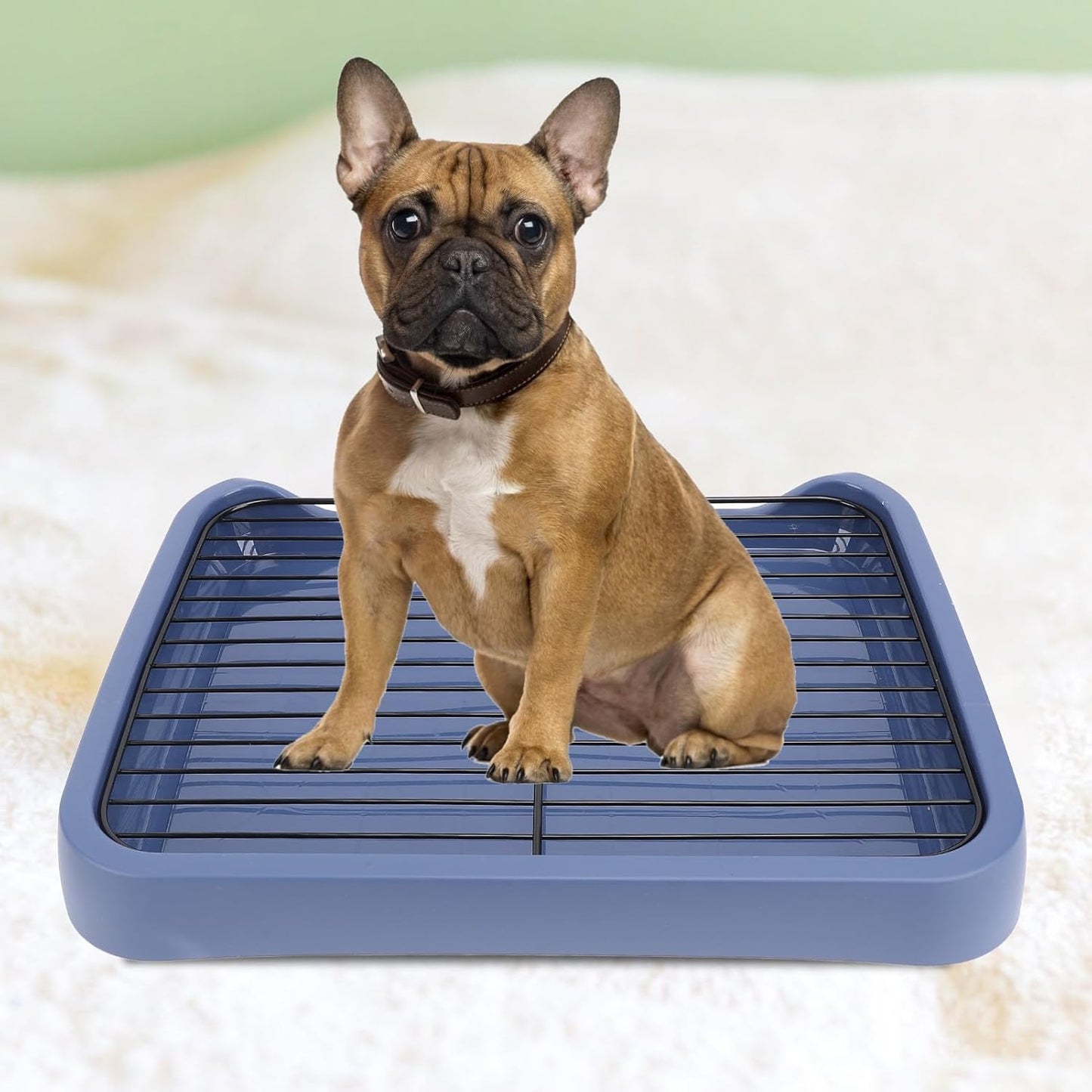 Fdit Dog Toilet Tray with Mesh Rack, Removable PP Plastic Pet Potty for Medium Small Dogs, Anti Slip Training Tray with Iron Frame