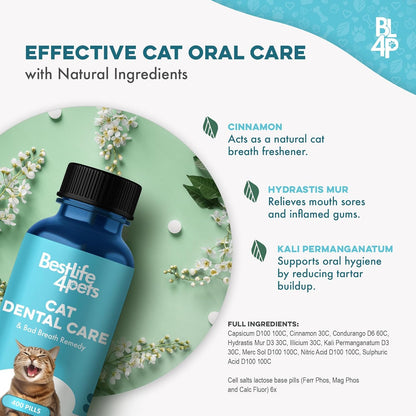 Cat Dental Care Supplement for Bad Breath, Tartar & Gum Support - Natural Cat Teeth Cleaning Oral Tablets Provide Eating & Gum Comfort, Teeth Wellness and Plaque Control, Tiny Dissolvable 400 Pills