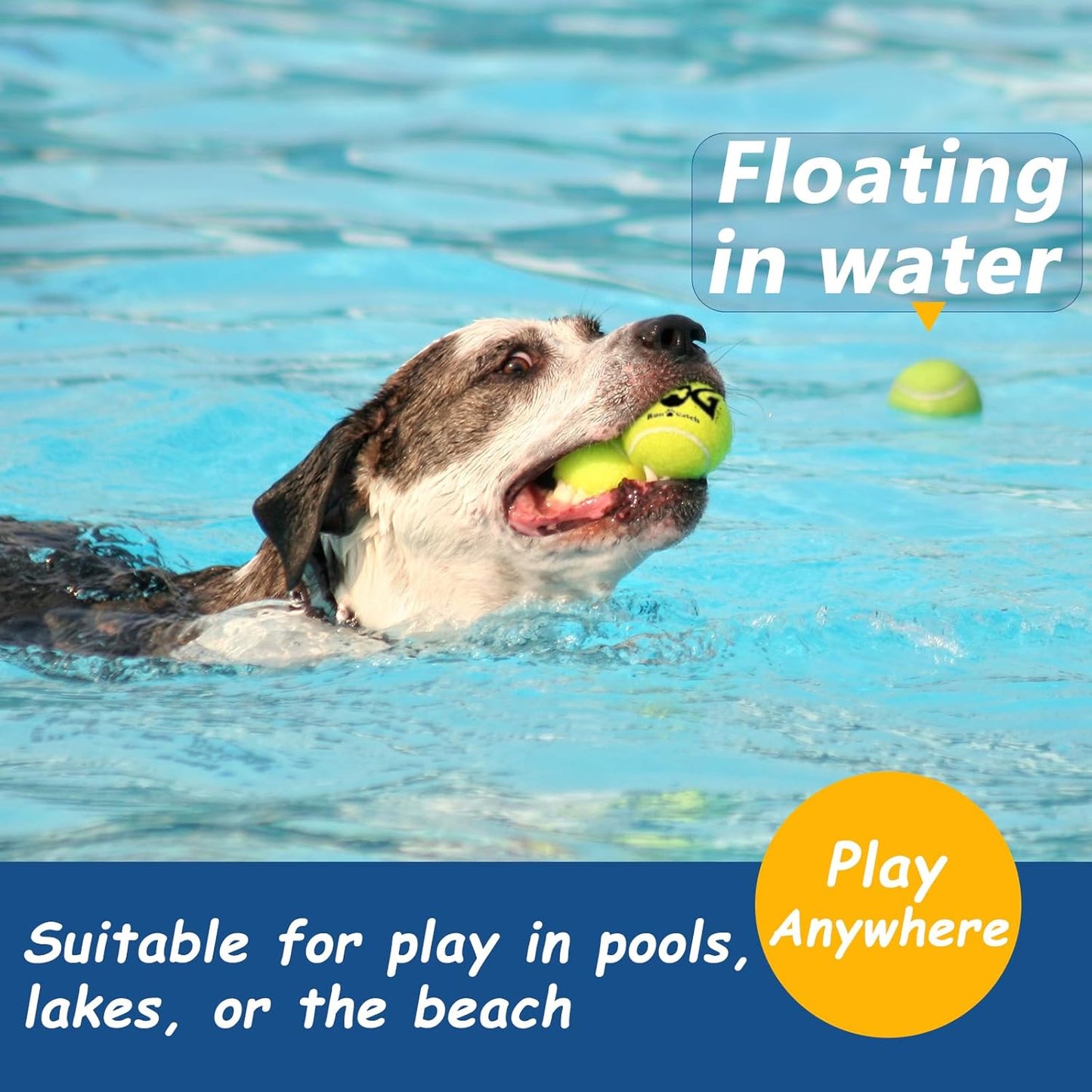 Tennis Balls for Dogs - 12 Pack 2.5'' Durable Non-Toxic Outdoor Dog Toys Balls with Mesh Bag, SGS Certified, Colorful Fetch Toys, Medium Large Breeds (Non Squeaky)