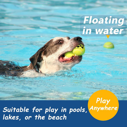 Tennis Balls for Dogs - 12 Pack 2.5'' Durable Non-Toxic Outdoor Dog Toys Balls with Mesh Bag, SGS Certified, Colorful Fetch Toys, Medium Large Breeds (Non Squeaky)