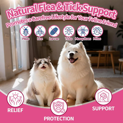 Flea & Tick Prevention for Dog and Cat, Natural Oral Flea & Tick Support Drops with Multivitamin Omega-3 for Pets - Supports Healthy Skin & Coat - Flea Herbal Drops All Breeds and Sizes - Bacon