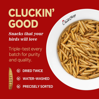 Dried Black Soldier Fly Larvae, Non-GMO, Natural Chicken Treats & High-Protein Poultry Snacks for Backyard Chickens, Laying Hens & Ducks, 5 lb Box