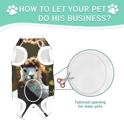 Fashion icon Dog Surgery Suit Recovery Suit, 100% Cotton Breathable Full Body Dog & Cat Surgical Suit with Cute Prints, Alternative to Cone for Spay Neuter Wound Care, Male & Female Pets Medium