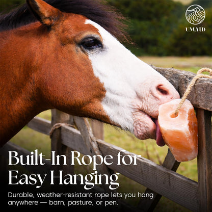 UMAID Himalayan Salt Lick 3 lbs On Rope for Horse, Deer, Goat, and Livestock Animals - Himalayan Salt Block 6 Pack