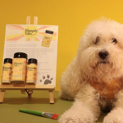 Simply Life Pets Kefir Powder Probiotic for Dogs & Cats, Freeze-Dried – Natural Digestive & Immune Support (1oz)