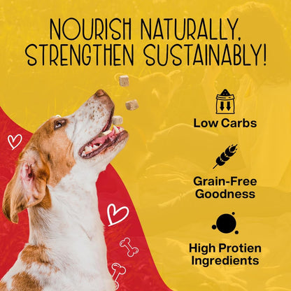 Chewmasters 100% Pure Beef Liver Bites - Healthy Freeze Dried Liver Treats for Dogs of All Life Stages - High Protein Dog Training Treats, Grain Free, All Natural, Zero Additives - Made in USA, 17.6oz