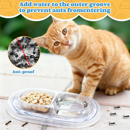 30 Pcs Disposable Cat Bowls with Ant Proof Moats - No Spill Double Bowl Tray for Stray & Outdoor Cats, Travel & Feeding - 30 Day Supply